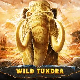 Wild-Tundra